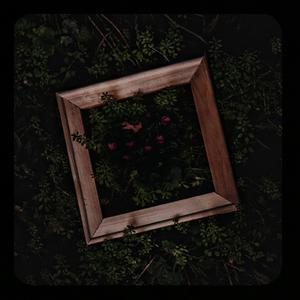 大荫蒂性生交片100集
